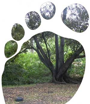 Green Footprint